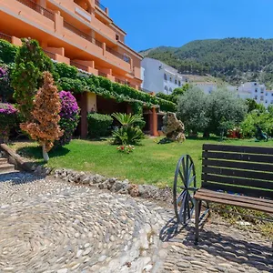 book here